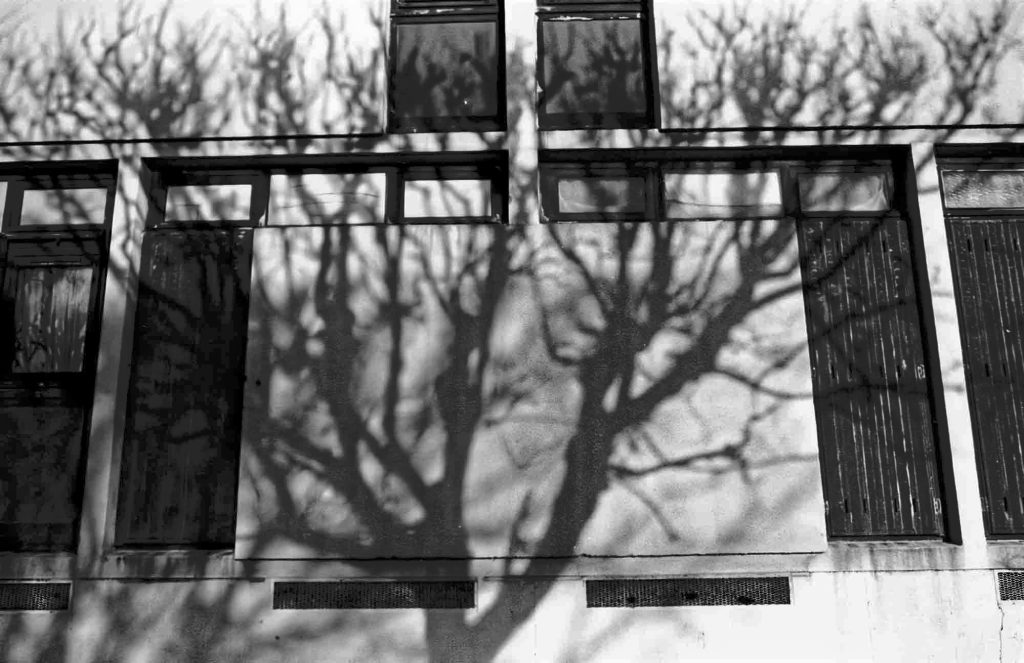 La Cité Pierre Montillet, située dans le quartier Sud du Blanc-Mesnil, a été construite par l'architecte d'origine grecque Georges Candilis1 en 1956-57 pour le compte du bailleur Emmaüs Habitat. Entre 1999 et 2012, la cité a fait l'objet d'une rénovation urbaine intense avec des démolitions-reconstructions, et tous les bâtiments ayant été construits à l'origine ont été rasés un par un. 
Depuis 2011, de nouveaux bâtiments, plus contemporains et plus bas, ont fait leur apparition à l'emplacement des anciens bâtiments datant des années 1950.