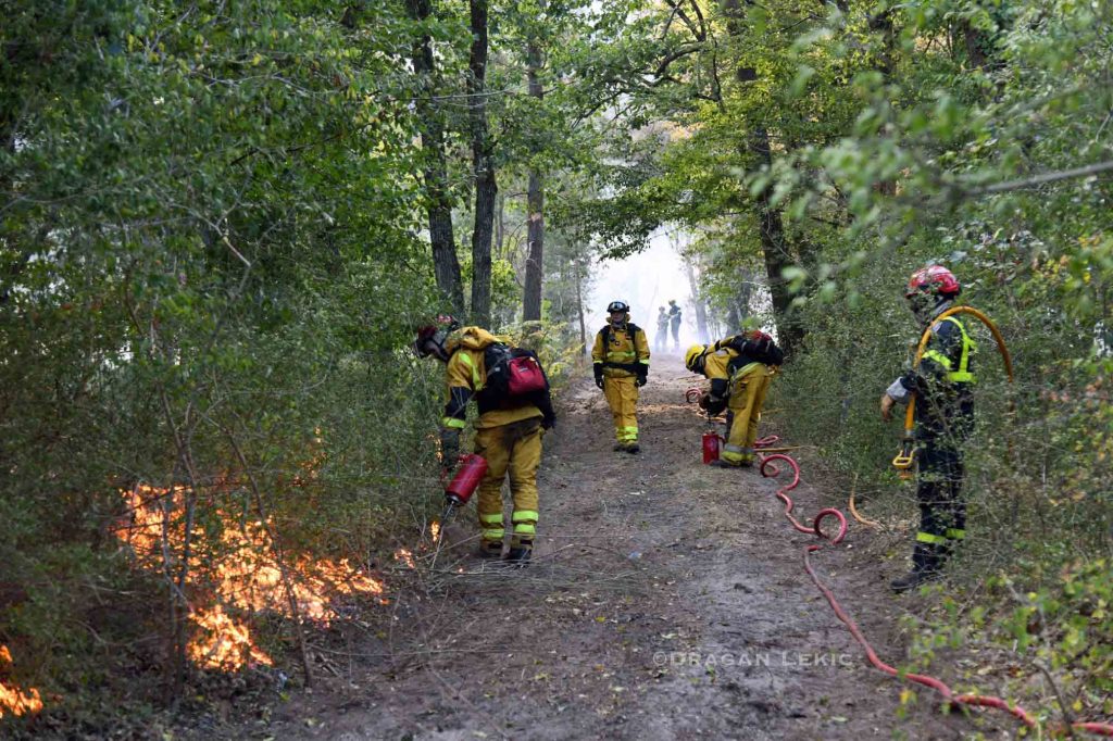 France, 15 July 2026. A fire of exceptional magnitude is ravaging a large part of the Fontainebleau Forest, south of Paris. Fanned by sweltering temperatures, persistent drought and strong winds, the fire is spreading rapidly through the woodland, consuming hundreds of hectares of vegetation.///
France, 15 juillet 2026. Un incendie d'une ampleur exceptionnelle ravage une vaste partie de la foret de Fontainebleau, au sud de Paris. Attise par des temperatures caniculaires, une secheresse persistante et des vents violents, le feu progresse rapidement a travers les massifs forestiers, consumant des centaines d'hectares de vegetation.