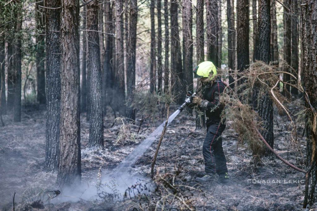 France-Lanton. 30 July 2026. Following a series of violent fires, firefighters and volunteers are battling a forest fire in Lanton, as part of the wildfires ravaging the Gironde region.///France-Lanton. Le 30/07/2026. Suite aux violents incendies, pompiers et volontaires luttent contre un incendie de foret a Lanton, dans le cadre des feux de foret qui ravagent la region de la Gironde.